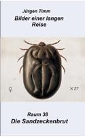 Raum 38 Die Sandzeckenbrut 3740743867 Book Cover