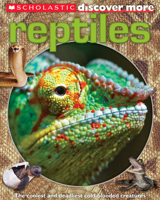 Reptiles (Scholastic Discover More) 0545628172 Book Cover