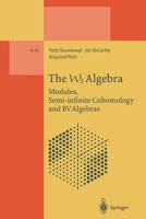 The W3 Algebra: Modules, Semi-infinite Cohomology and BV Algebras 3662140926 Book Cover