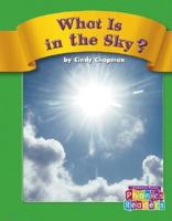 Is It Hot? Is It Not?: Set A (Phonic Readers) 0756505100 Book Cover