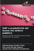 SIAF e produttività del lavoro nel settore pubblico 6207798023 Book Cover