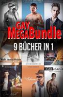 Gay Mega Bundle - 9 B?cher In 1 1514667681 Book Cover