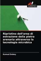 Ripristino dell'area di estrazione della pietra arenaria attraverso la tecnologia microbica 6204072811 Book Cover