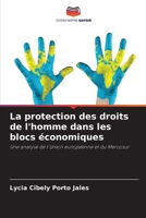La protection des droits de l'homme dans les blocs économiques (French Edition) 6208314410 Book Cover
