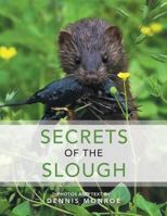 Secrets of the Slough 152460223X Book Cover