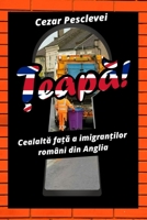 Țeapă! Cealaltă față a imigranților români din Anglia 1804122793 Book Cover