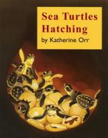 Sea Turtles Hatching 0893170488 Book Cover