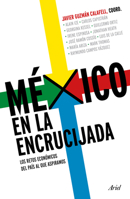 México En La Encrucijada: Los Retos Económicos del País Al Que Aspiramos 6075697241 Book Cover