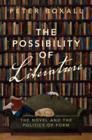 The Possibility of Literature: The Novel and the Politics of Form 1009314297 Book Cover