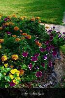 An Analysis or Familiar Explanation of the Gospels as Read at the Holy Sacrifice 153460152X Book Cover