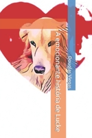 A emocionante história de Lucke B09NRJW47C Book Cover