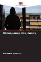 Délinquance des jeunes (French Edition) 6207932900 Book Cover