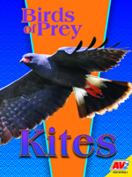 Kites 1791147046 Book Cover