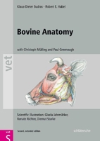 Bovine Anatomy: An Illustrated Text 3899930002 Book Cover
