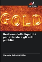 Gestione della liquidità per aziende e gli enti pubblici (Italian Edition) 620652583X Book Cover