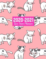 2020-2021 Two Year Planner: 2-Year Monthly and Weekly Planner Calendar Schedule Organizer January 2020 to December 2021 (24 Months) Art Cover 00023189 1712964313 Book Cover