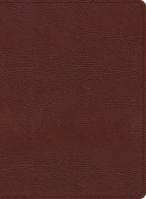 KJV Study Bible, Large Print Edition, Brown Bonded Leather, Red Letter, Pure Cambridge Text, Study Notes, Commentary, Articles, Photos, Timelines, Maps, Easy-to-Read MCM Type B0CS8RHWH3 Book Cover