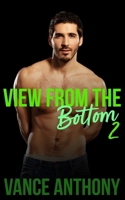 View From the Bottom 2: A Bundle of Gay Erotic Shorts (View From Series) B0FMJY6DF6 Book Cover