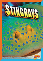 Stingrays 1623102871 Book Cover