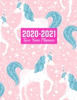 2020-2021 Two Year Planner: Neat 24-Month Planner & Calendar | Large 8.5 x 11 (Jan 2020 - Dec 2021) Daily Weekly and Monthly Schedule | Art Cover 00023190 1712708511 Book Cover