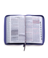 Rv-60 Biblia de Promesas - Tamao Manual- Edicin Lavanda Imitacin Piel Con ndice + Cierre 0789925605 Book Cover
