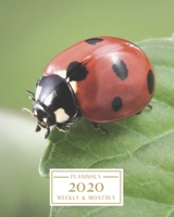 2020: Weekly and Monthly Planner/Calendar Jan 2020 – Dec 2020 Cute Ladybug 1698366655 Book Cover