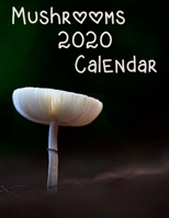Mushrooms 2020 Calendar 1650787421 Book Cover