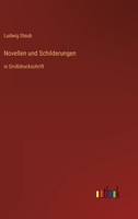 Novellen Und Schilderungen 3743737728 Book Cover