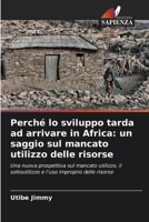 Perché lo sviluppo tarda ad arrivare in Africa: un saggio sul mancato utilizzo delle risorse (Italian Edition) 663029663X Book Cover