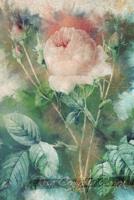 Rosa Centifolia Carnea: Floral Notebook with Flower Illustrations on Every Page 1090594267 Book Cover