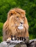 Lions Picture Book: Picture Book for Alzheimer's Patients and Seniors with Dementia (Gift Book) Giant Cat Predator Animal Safari Feline Gifts with Lion for Adults Men Women Kids Photo Book of Lions B08T8LJLCC Book Cover