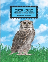 2020 - 2022 Monthly Weekly Yearly Planner Journal: Owl Bird Standing In Grass Blue Sky Clouds Cover 2 Year Planner Appointment Calendar Organizer And Journal Notebook 1699019347 Book Cover