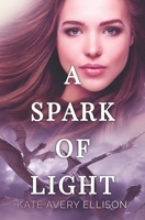 A Spark of Light B0BHLCJHRY Book Cover