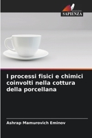 I processi fisici e chimici coinvolti nella cottura della porcellana 6205608987 Book Cover