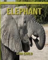 Elephant: Amazing Fun Facts and Pictures about Elephant for Kids 1981324526 Book Cover