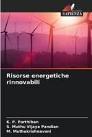 Risorse energetiche rinnovabili (Italian Edition) 6208076285 Book Cover