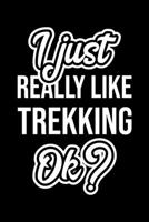 I Just Really Like Trekking Ok?: Christmas Gift for Trekking lover Funny Trekking Journal Nice 2019 Christmas Present for Trekking 6x9inch 120 pages 1702273474 Book Cover