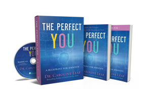 The Perfect You Curriculum Kit: A Blueprint for Identity 1540900045 Book Cover