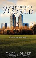 A Perfect World 1609571886 Book Cover