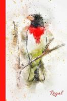 Regal : Rose-Breasted Grosbeak Journal/Notebook 5. 25 X8 198365678X Book Cover