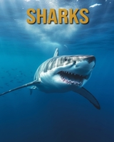 Sharks: Amazing Photos and Fun Facts Book B0CFCYN8LJ Book Cover