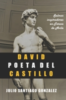 David Poeta del Castillo: Salmos Inspiradores en Teresa de Avila B08FP2BTMH Book Cover