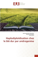 Haplodiploïdisation chez le blé dur par androgenèse 6203448842 Book Cover