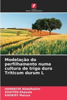 Modelação do perfilhamento numa cultura de trigo duro Triticum durum L (Portuguese Edition) 6208162718 Book Cover