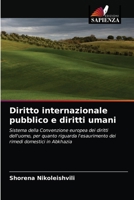 Diritto internazionale pubblico e diritti umani 6203349941 Book Cover