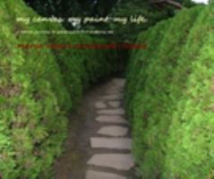 My Canvas. My Paint. My Life 1364424231 Book Cover