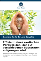 Effizienz eines exotischen Parasitoiden, der auf verschiedenen Substraten aufgezogen wird (German Edition) 6207719344 Book Cover