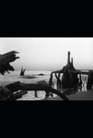 Teaching Suicide to Children: A memoir informed by lived experience and observations of self-harm within children’s literature B0992CRXF5 Book Cover