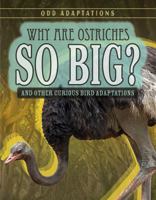 Why Are Ostriches So Big?: And Other Curious Bird Adaptations 1538203863 Book Cover