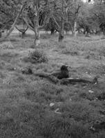 The Double Lamp of Solitude 1734481625 Book Cover